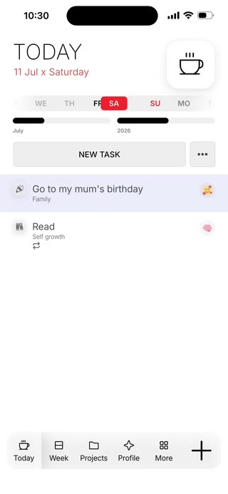 Daily planner in Project